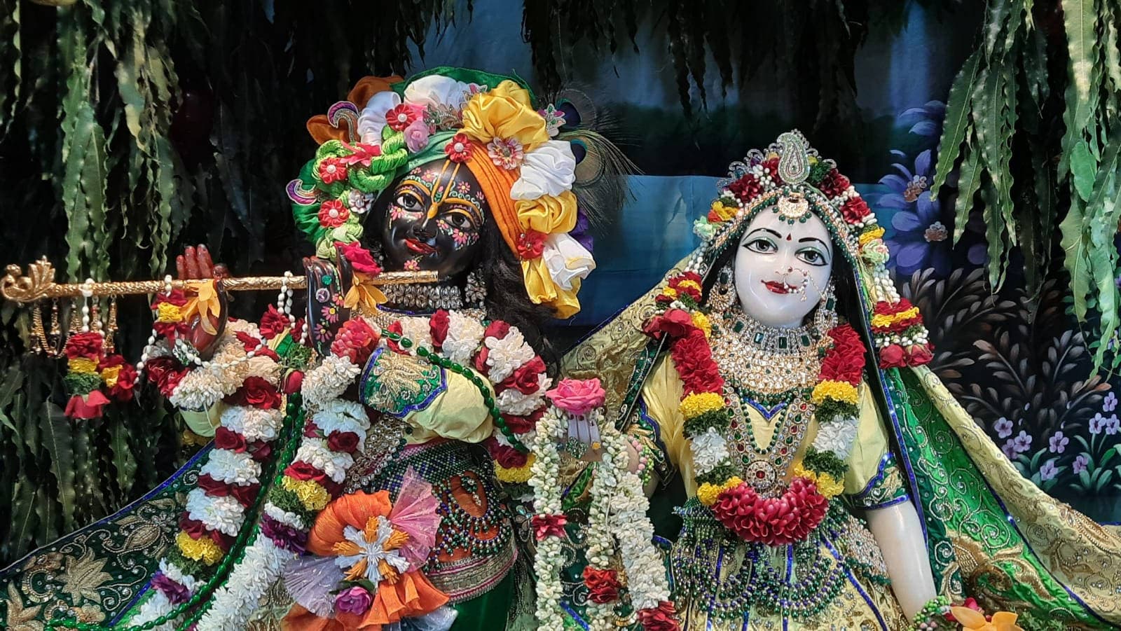 Donation and service background